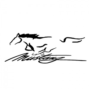 Autós dekorációk és tuning alkatrészek