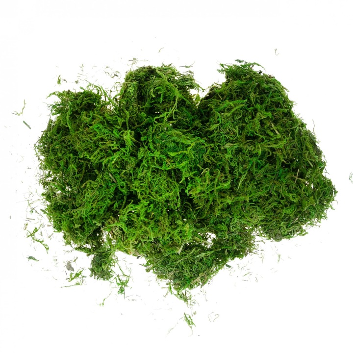 Изкуствен мъх, Nowa, зелен, декоративен, 30гр