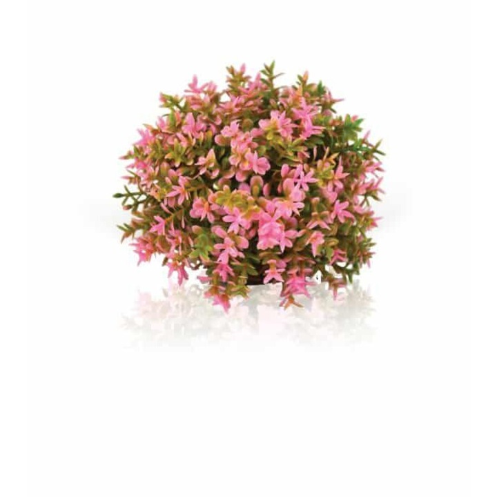 Művirág dekoráció, Oase biOrb virággolyó, 10cm, Pink