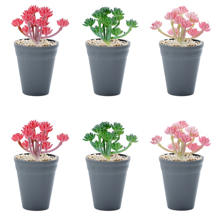 Set 6 plante suculente artificiale multicolore, Zeaicos, PVC