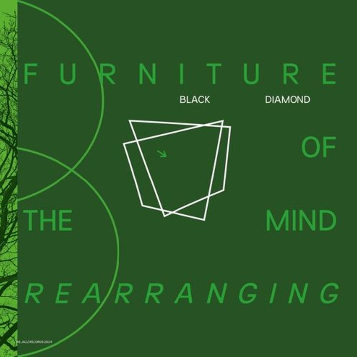 Black Diamond - Furniture Of The Mind Rearranging (2LP)
