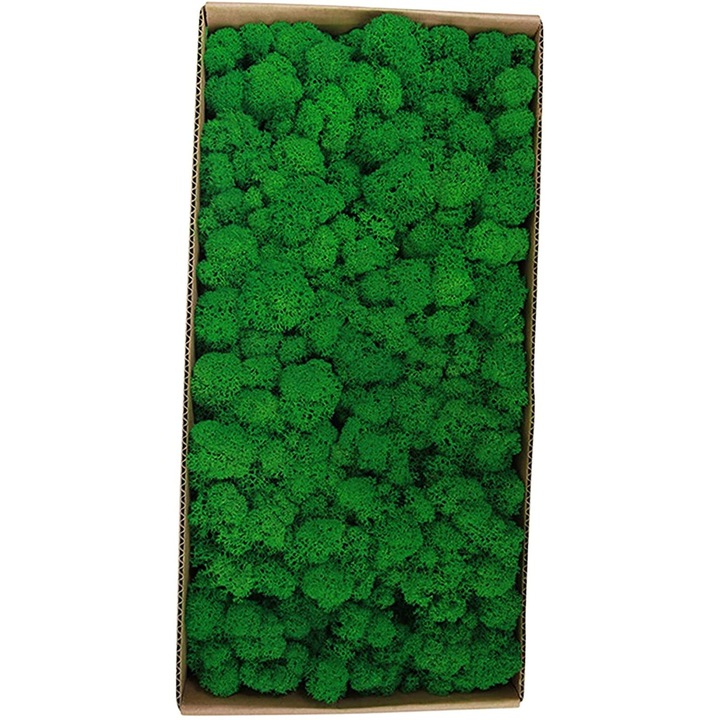 Dekoratív tartósított moha, természetes, karbantartásmentes, zöld, 30x20cm