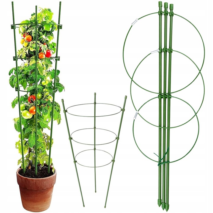 Suport pentru plante Verk Group, set 3 inele, verde, 60cm