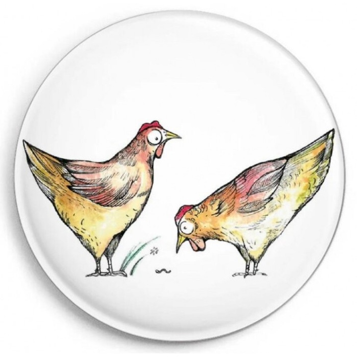 Magnet decorativ Ligarti, gaini, multicolor