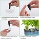 Set 12 bureti Regal Bliss ®, pentru cresterea plantelor, set de capsule pentru ghiveci de plante cu sistem de cultivare hidroponica fara sol, inlocuitori de bureti pentru gradina hidroponica, Maro