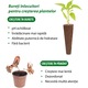 Set 12 bureti Regal Bliss ®, pentru cresterea plantelor, set de capsule pentru ghiveci de plante cu sistem de cultivare hidroponica fara sol, inlocuitori de bureti pentru gradina hidroponica, Maro