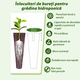 Set 12 bureti Regal Bliss ®, pentru cresterea plantelor, set de capsule pentru ghiveci de plante cu sistem de cultivare hidroponica fara sol, inlocuitori de bureti pentru gradina hidroponica, Maro