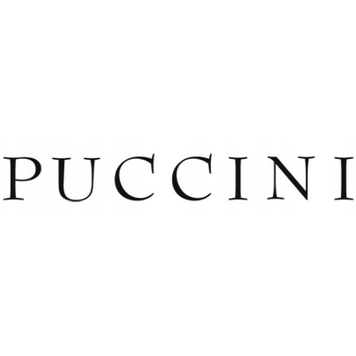 Rucsac urban Puccini, compartiment laptop 15'', bej