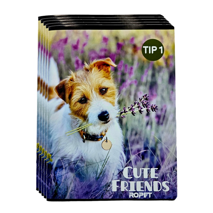 Set 5 bucati caiet Tip 1, 24file