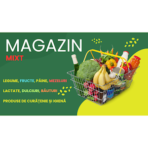 Sisteme de afisare, prezentare si plannere