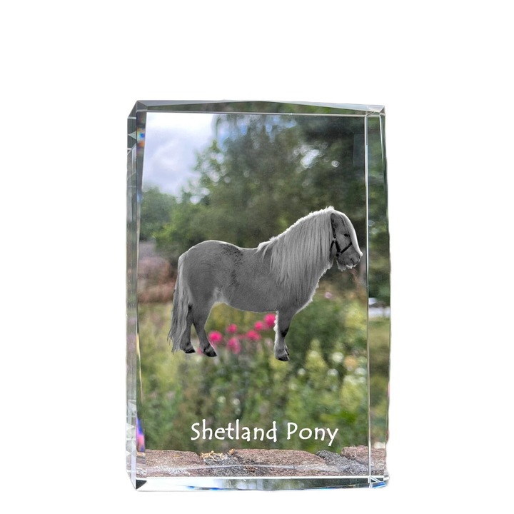 Rama foto din cristal Art-Dog, gravura personalizata, 18x12x4cm