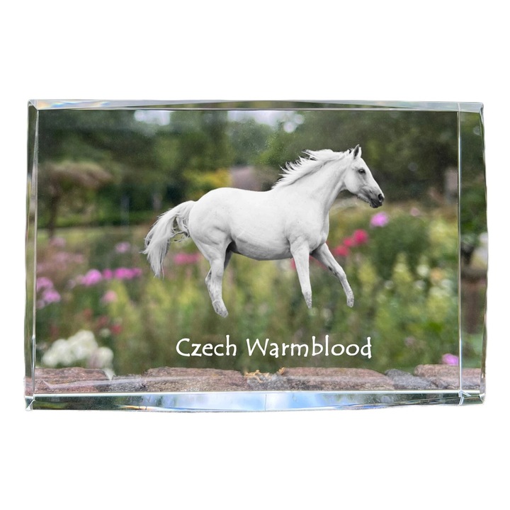 Rama foto din cristal Art-Dog, 18x12x4cm, cu fotografie, design modern