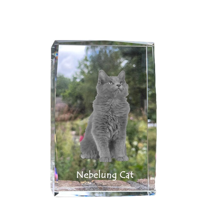 Rama foto din cristal Art-Dog, 18x12x4cm, cu imaginea unei pisici