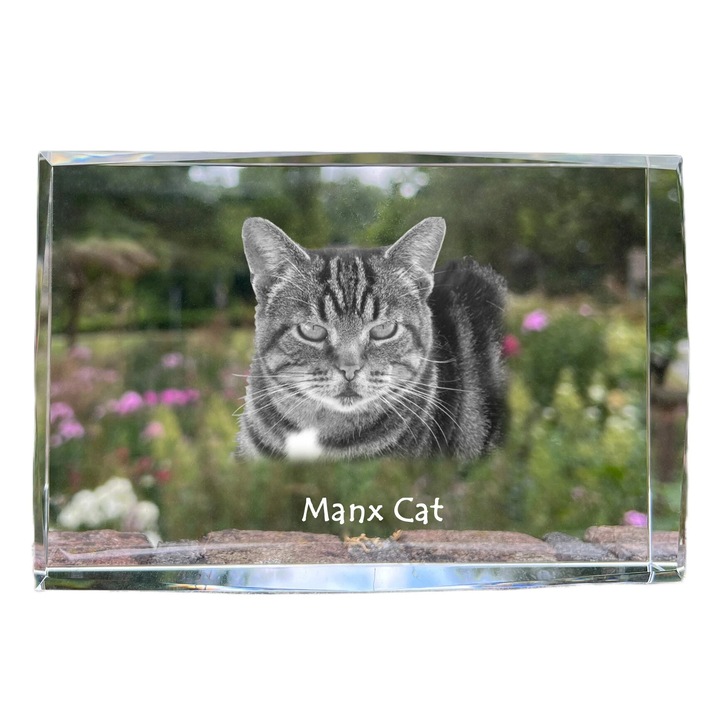 Rama foto clasica Art-Dog, cristal cu gravura, 18x12x4cm