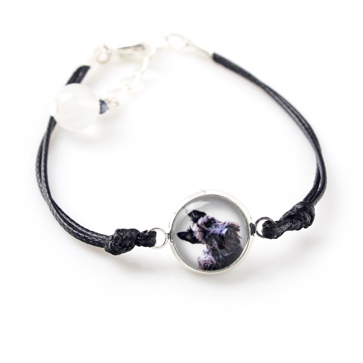 Bratara Art-Dog, 16-18.5 cm, hipoalergenic, cutie eleganta