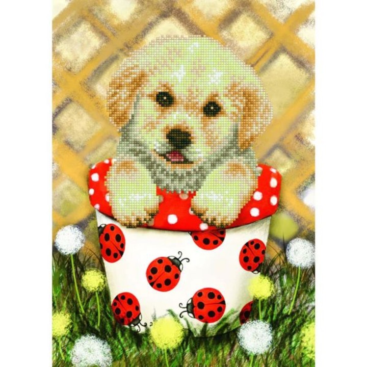 Set de creatie mozaic Diamond dotz Pup In Pot