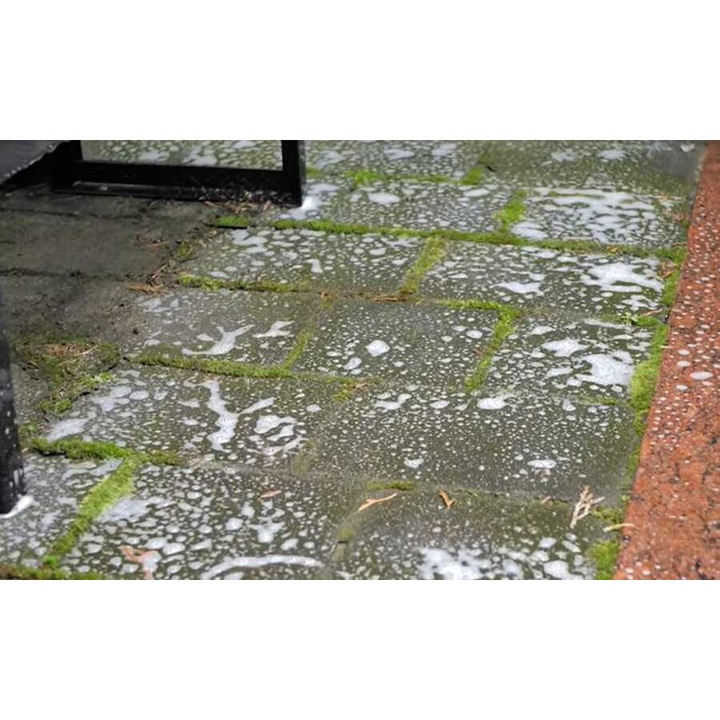 Solutie curatat pavaje, Tenzi TopEfekt MOSS, pentru curatarea mucegaiului si algelor, 80-100 m2, 1L
