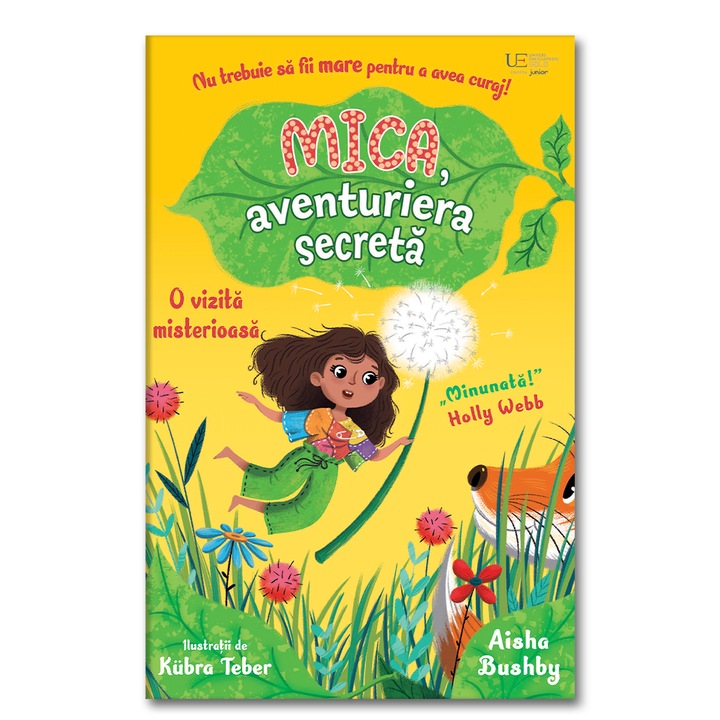 Mica, aventuriera secreta: o vizita misterioasa, Usborne Books