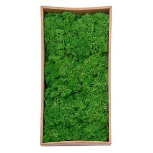 Plante artificiale