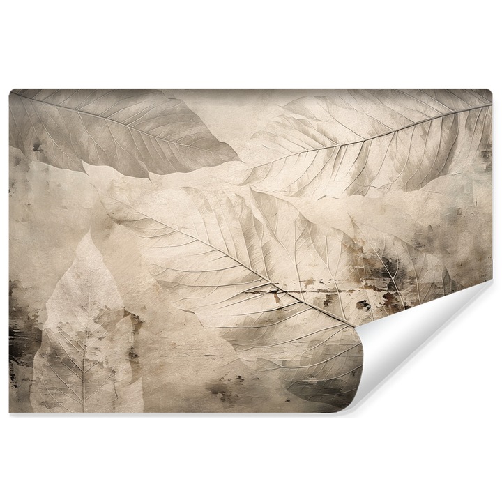 Fototapet Muralo Decor camera de zi Exclusiv 300 cm x 210 cm frunze perete de beton 3D sepia