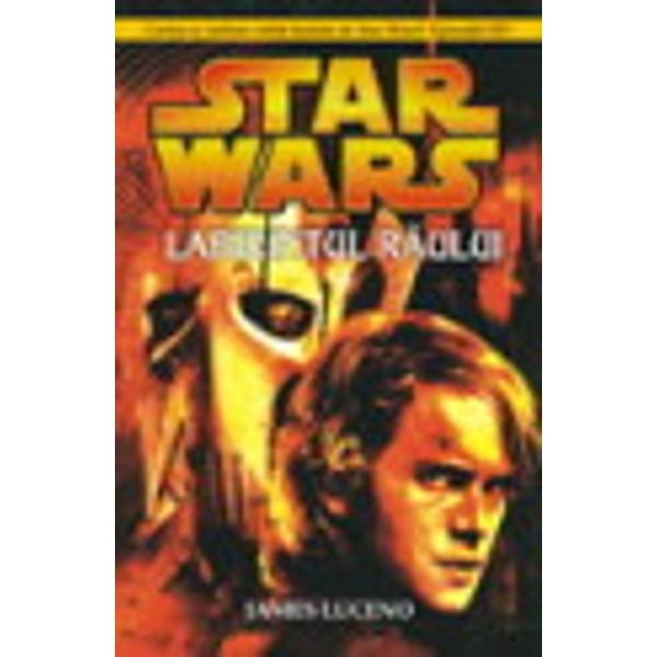 Star Wars - Labirintul Raului - James Luceno