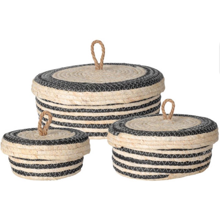 Recipiente de depozitare cu capac, 3 buc