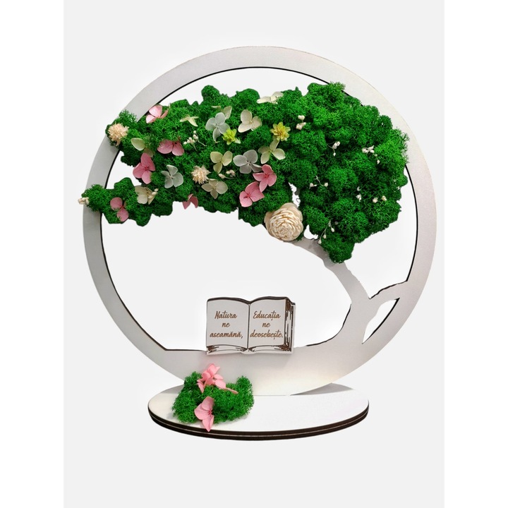 Copacul vietii cu licheni si plante stabilizate, cu mesaj pentru scoala, dimensiune 30cm