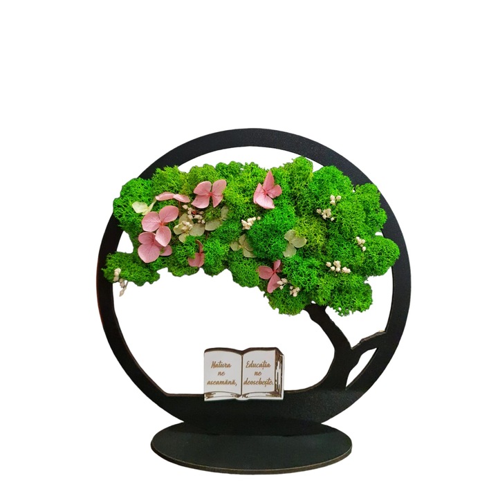 Copacul vietii cu licheni si plante stabilizate, cu mesaj pentru scoala, dimensiune 20cm