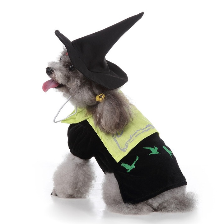 Halloween boszorkány jelmez kutyáknak, többszínű, M