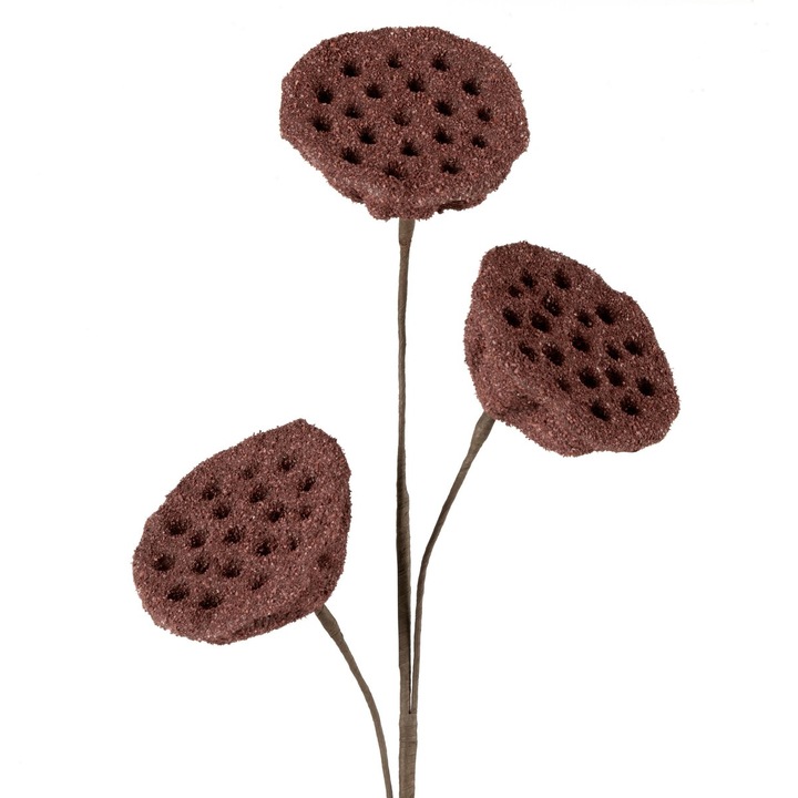 Floare decorative NATU 63 cm Eurofirany maro