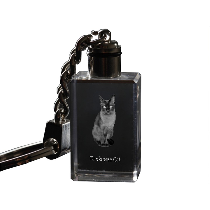 Tonkinese macska hatoldalú kulcstartó macskával Art-Dog