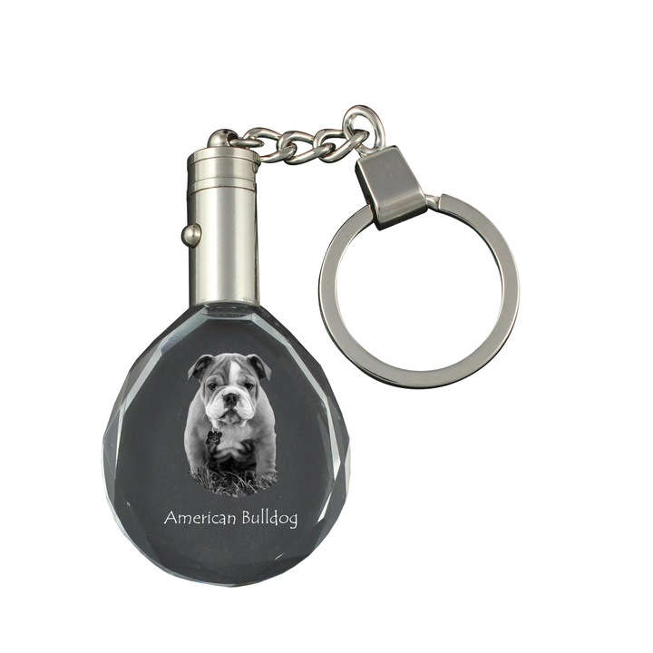 Kulcstartó kristályokkal, Art-Dog, amerikai bulldog, személyre szabható, megvilágított, 40x35x10mm, díszdobozban