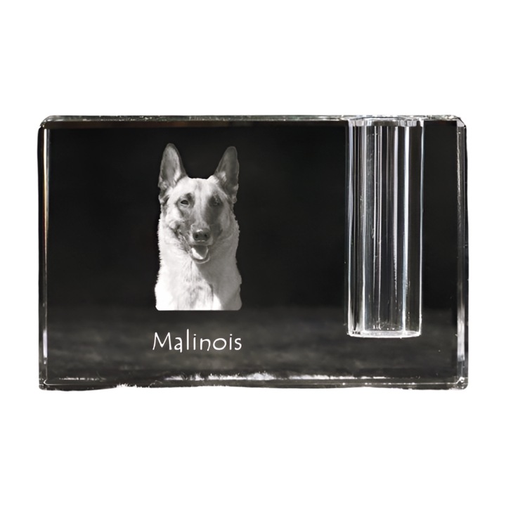 Suport pentru pixuri, Art-Dog, cristal, personalizabil cu fotografie, 11x4x7cm