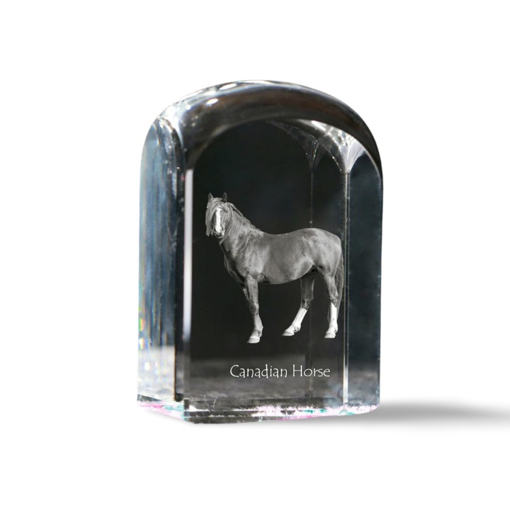 Kristály papírnehezék, Art-Dog, személyre szabott gravírozással, 10x6x6cm