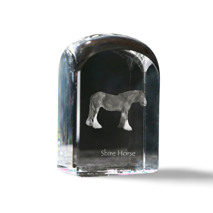 Kristály papírnehezék, Art-Dog, fényképpel személyre szabott, 10x6x6cm