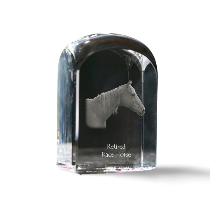 Kristály papírnehezék, Art-Dog, személyre szabott fényképpel, 10x6x6cm, átlátszó