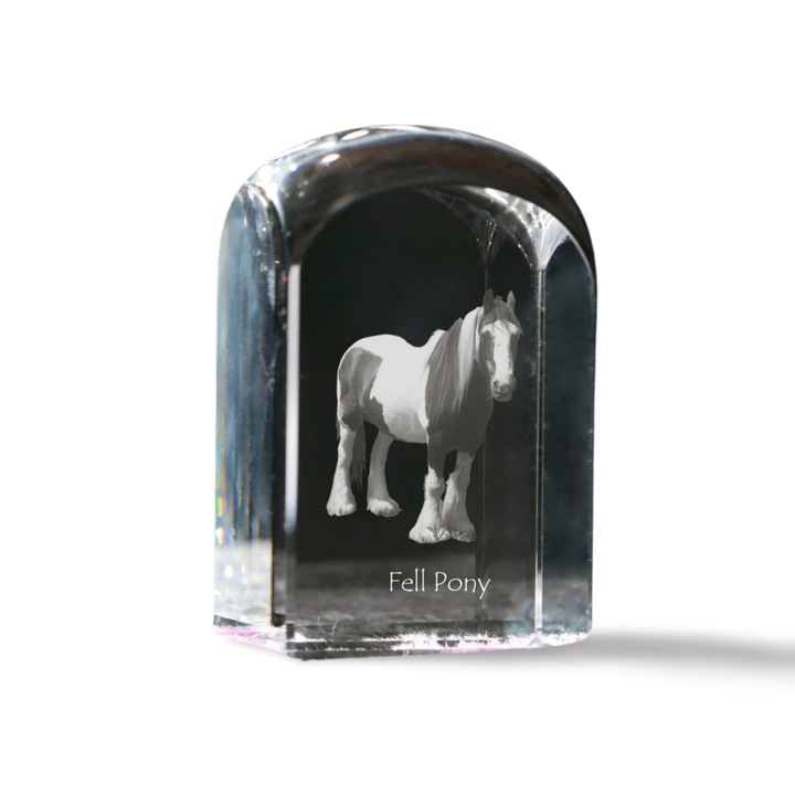 Kristály papírnehezék, Art-Dog, fényképpel személyre szabott, 10x6x6cm