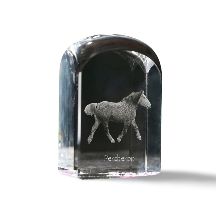 Kristály papírnehezék, Art-Dog, fényképpel személyre szabott, 10x6x6cm