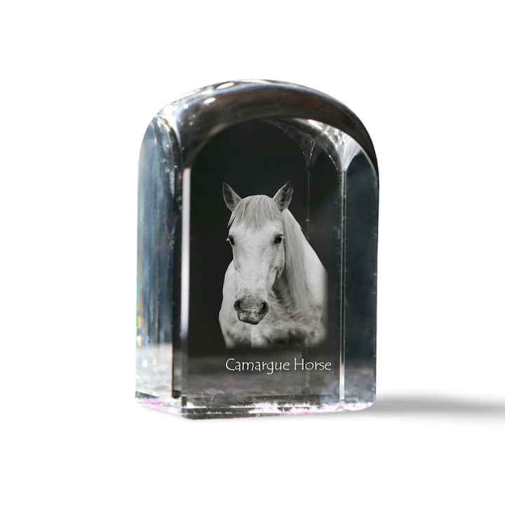 Kristály papírnehezék, Art-Dog, személyre szabott gravírozással, 10x6x6cm