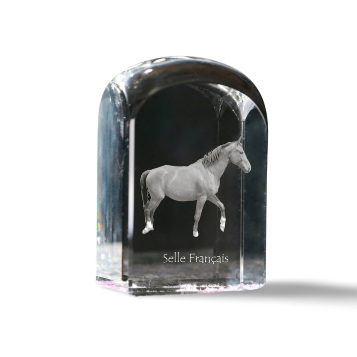 Priza de hartie din cristal, Art-Dog, personalizata cu fotografie, 10x6x6cm