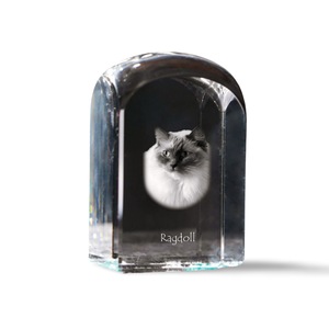 Dekorációs kiegészítők