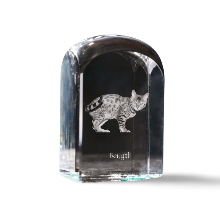 Kristály papírnehezék, Art-Dog, fényképpel személyre szabott, 10x6x6cm