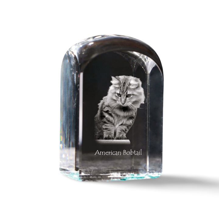 Kristály papírnehezék, Art-Dog, fényképpel személyre szabott, 10x6x6cm, átlátszó