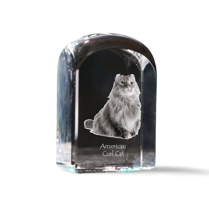 Prajitor de hartie din cristal, Art-Dog, personalizat cu fotografie, 10x6x6cm