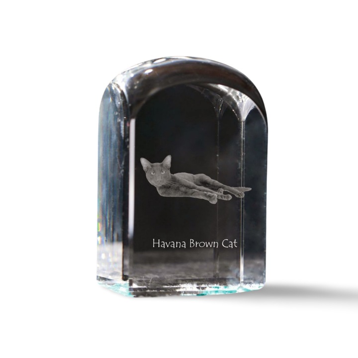 Kristály levélnehezék, Art-Dog, fényképpel személyre szabva, 10x6x6cm