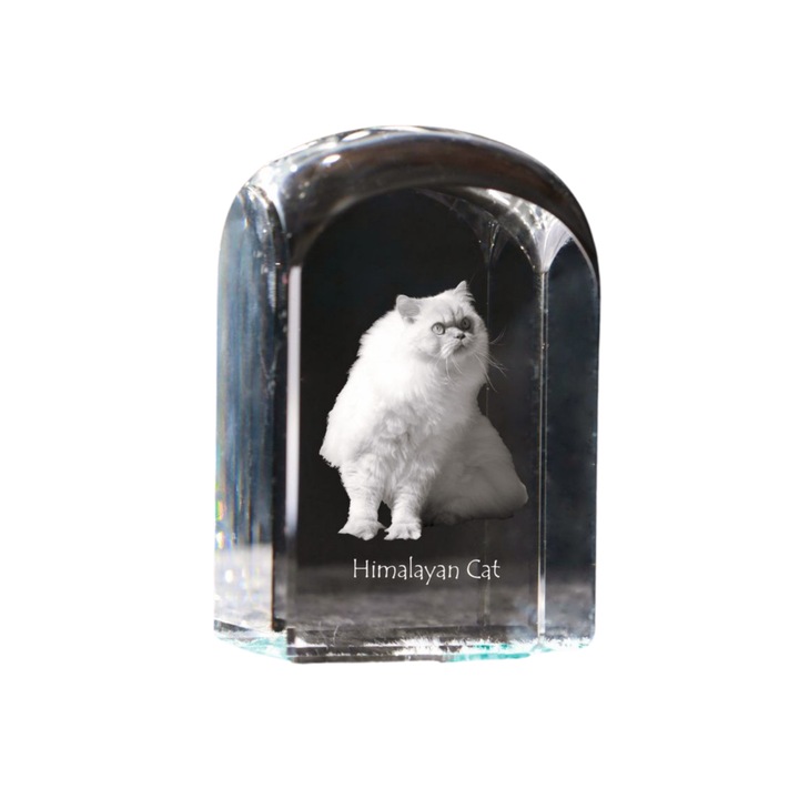 Kristály papírnehezék, Art-Dog, fényképpel személyre szabott, 10x6x6cm, átlátszó