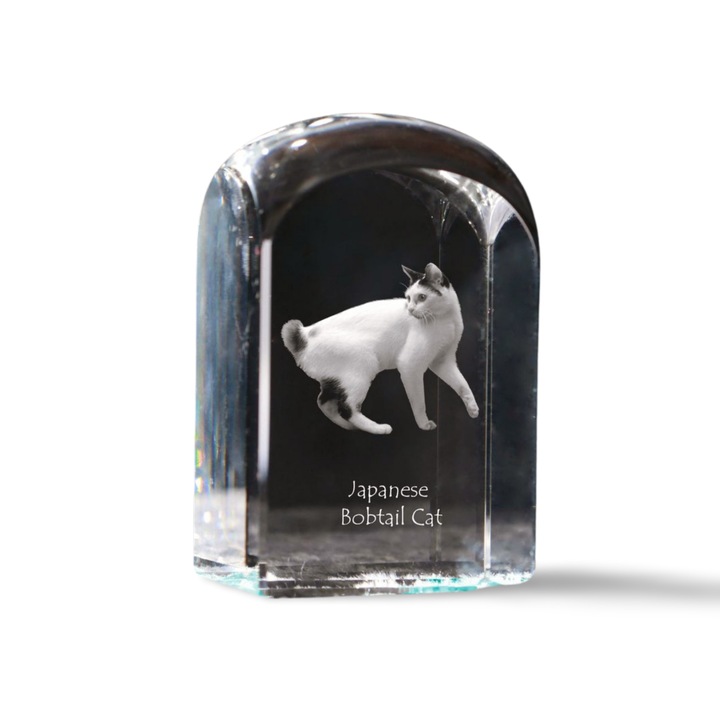 Kristály papírnehezék, Art-Dog, személyre szabott gravírozással, 10x6x6cm