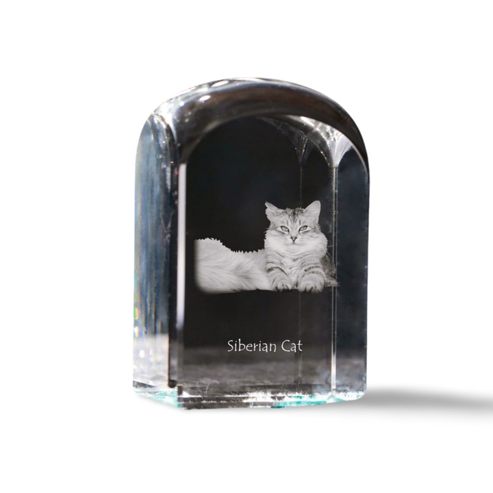 Kristály papírnehezék, Art-Dog, fényképpel személyre szabott, 10x6x6cm, átlátszó