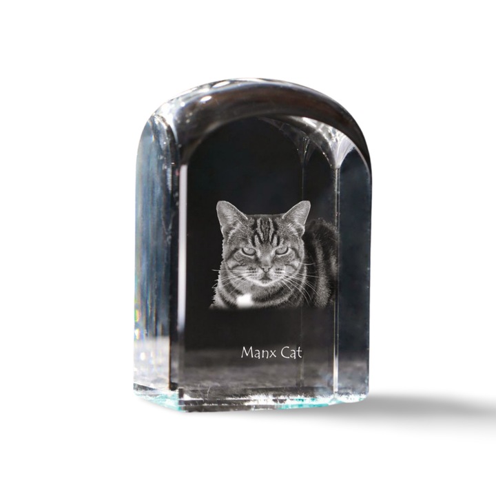 Kristály papírnehezék, Art-Dog, fényképpel személyre szabott, 10x6x6cm