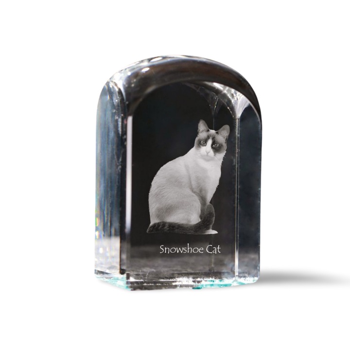 Buton de hartie din cristal, Art-Dog, personalizat cu fotografie, 10x6x6cm